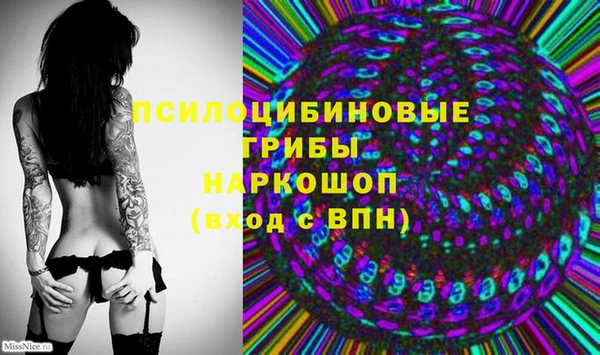 молекула духа Волосово