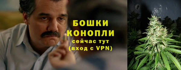 молекула духа Волосово