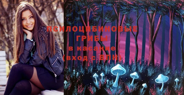 молекула духа Волосово